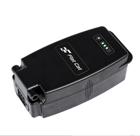 Flat Cat BATTERIE LI-ION