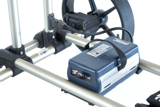 Flat Cat Ahead Black