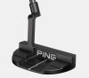 Ping DS 72