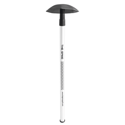 Big Max Spine Protector